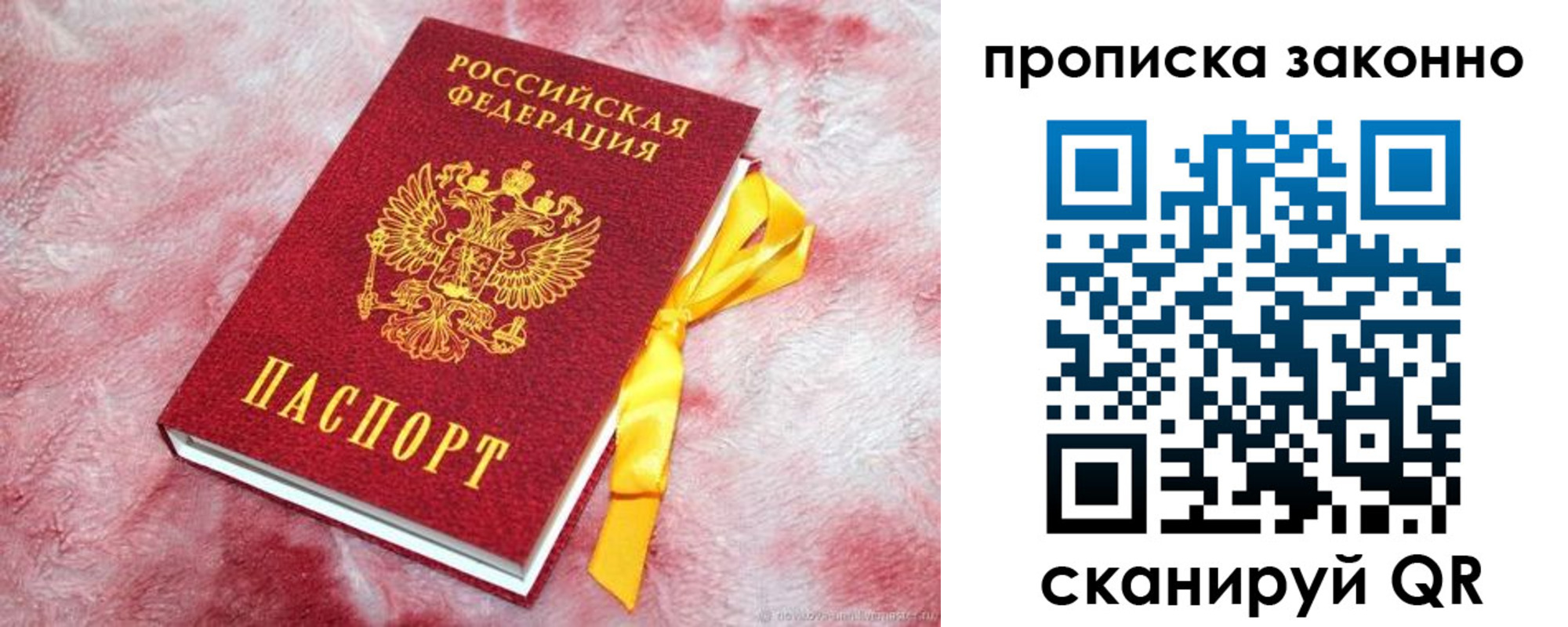временная регистрация поиск в Балтийске